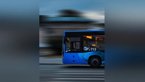 Мэрия прокомментировала жалобы пассажиров к перевозчикам во Владимире