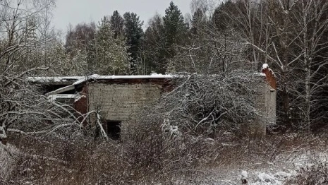 В Судогодском районе село заливало сточными водами из канализации