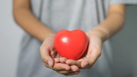 Ученые из Владимира запатентовали конструкцию системы вспомогательного кровообращения