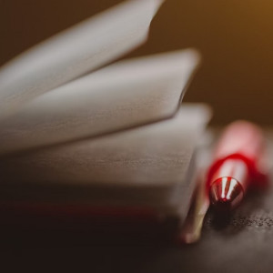 Два года СВО. Как проходит спецоперация для жителей Владимирской области 
