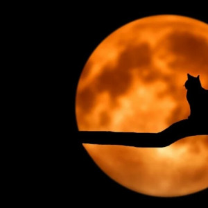 Жители Владимирской области отключат электричество на 60 минут