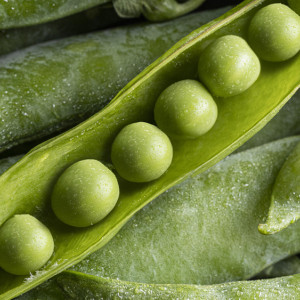 Иов Горошник: что можно и нельзя делать 19 мая