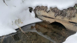 Во Владимирской области усилили контроль за чистотой водоемов