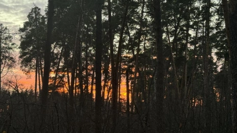 Опасность атаки БПЛА объявили во Владимирской области 