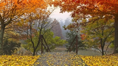 Жителям Владимирской области пообещали аномальное тепло