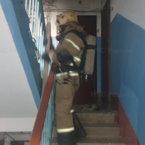 Во Владимире из горящего подъезда эвакуировали 13 взрослых и 2 детей