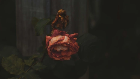 Во Владимире нашли мертвым пропавшего без вести 66-летнего мужчину