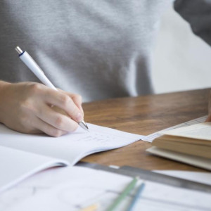 Во Владимире жалобы на образование возглавили в топ-5 популярных обращений в сентябре