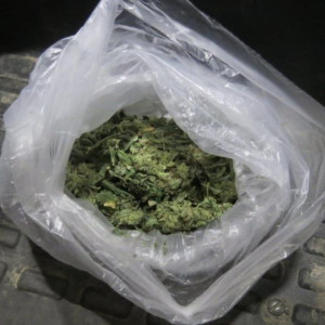 Во Владимирской области сотрудника ФСИН задержали за выращивание конопли