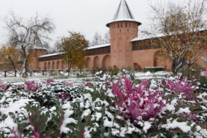 В Суздале Спасо-Евфимиев монастырь откроют для свободного посещения 4 ноября