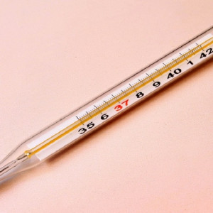 Во Владимирской области подтвердили 80 случаев ковида