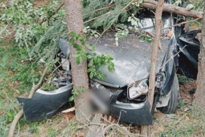 В Гусь-Хрустальном районе автомобилист погиб после столкновения с деревом