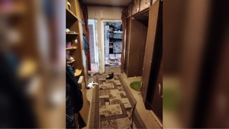 Погибли пять человек и кошки. Что известно об отравлении ядом в Юрьев-Польском районе