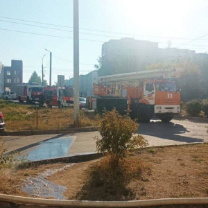 Пожарные спасли сотни рыб во владимирском магазине  