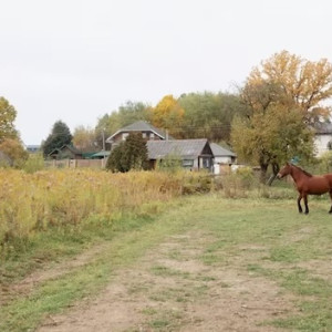 Во Владимирской области стартовал прием заявок на конкурс сельских старост