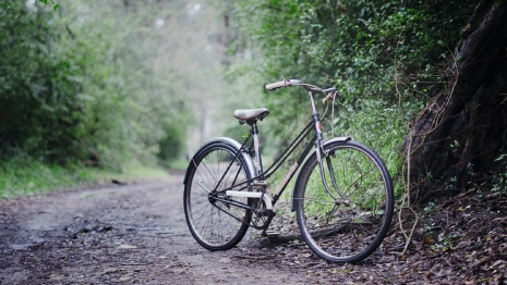 Во Владимирской области нашли живым пропавшего на сером велосипеде дедушку