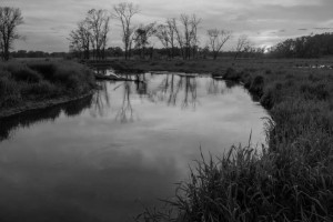 Пропавшего во Владимирской области 45-летнего мужчину нашли мертвым