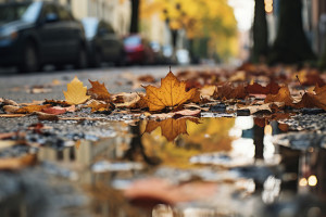 Прогноз погоды во Владимире и области на 27 сентября