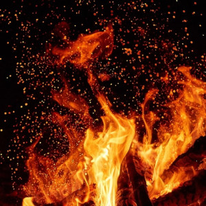 Во Владимирской области ввели противопожарный режим
