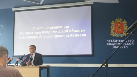 Владимирские власти назвали строительство дороги у ДТЮ приоритетным