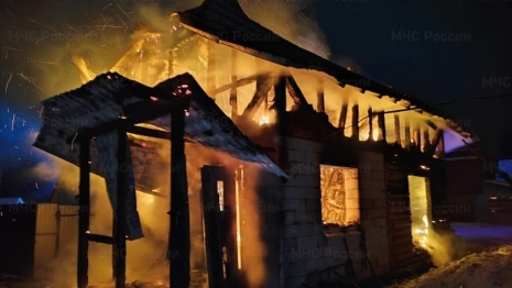 Во Владимирской области на пожаре в СНТ пострадали 2 человека