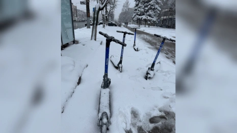 Во Владимире усовершенствуют электросамокаты и займутся велодорожками