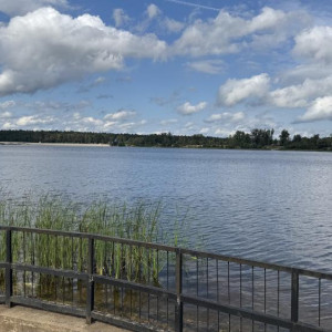 Самые грязные реки в России находятся во Владимирской области