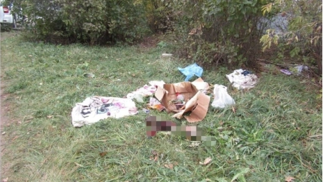 Заморившую ребенка голодом горе-мать из Коврова будут судить