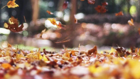 Синоптики пообещали 24-градусное тепло во Владимире