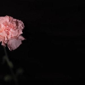 Во Владимирской области простились с погибшим при спецоперации сержантом