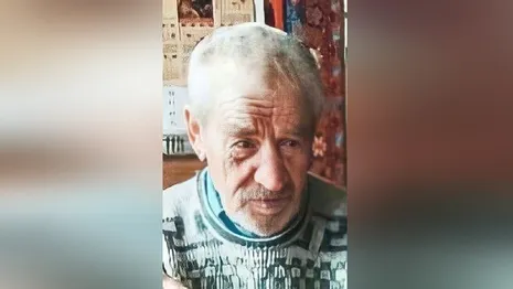 Во Владимирской области пропал в лесу 83-летний дедушка 