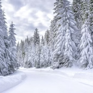 Пропавшую в январе 26-летнюю жительницу Владимира нашли живой