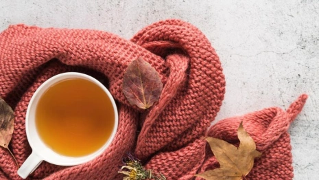 Прогноз погоды во Владимире и области на 10 октября 2025 года