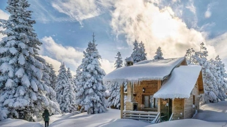 Рождественский мясоед: что можно и чего нельзя делать 10 января