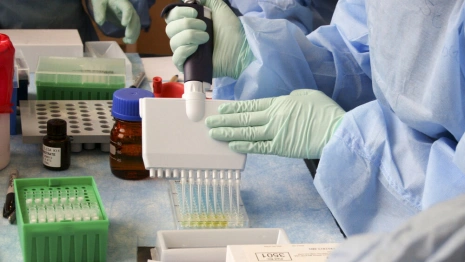 В России выявили первый случай заражения штаммом «кракен»