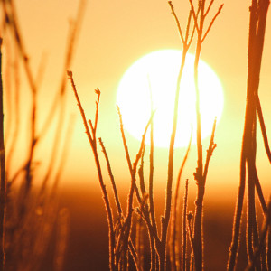 Ярилин день: что можно и нельзя делать 1 марта