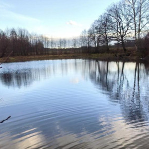 Вылов рыбы сетями во владимирском заказнике обернулся уголовным делом