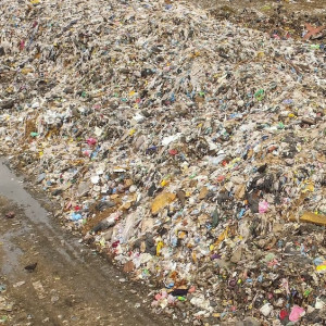 В Коврове рядом с кладбищем устроили мусорную свалку  