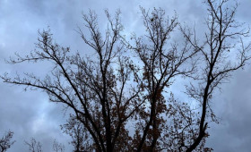 На короткой рабочей неделе во Владимирскую область нагрянут грозы