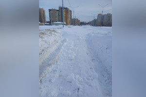 Во Владимире оставшиеся без дороги жители предложили запустить челлендж 