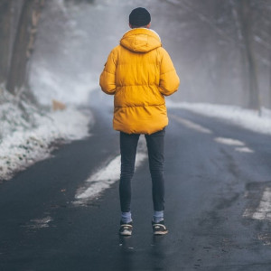 Во Владимире судьбу Козьего парка решит федеральный жилищный институт