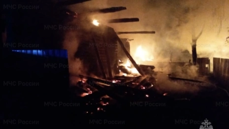 При пожаре в частном доме в Муроме погибла женщина и пострадал мужчина