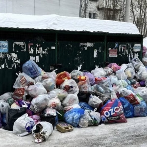 Во Владимирской области не смогли решить проблемы с вывозом мусора