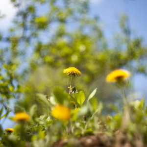 Синоптики назвали дату потепления во Владимире