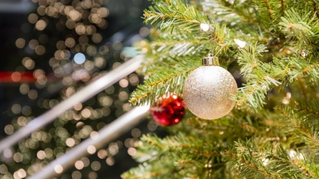 Во Владимире перечислили адреса елочных базаров