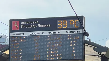 Во Владимире воздух раскалился до +39 градусов