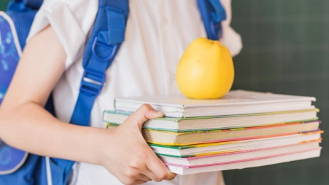 Во Владимирской области учебники получили 100% школьников