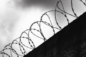 Тюрьмы Владимирской области станут частью большого эксперимента