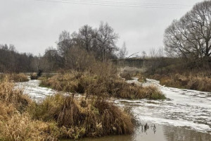 Река Пекша в Петушинском районе покрылась белой пеной из-за загрязнения