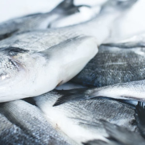 Владимирцев предупредили о рисках заражения паразитами от рыбы